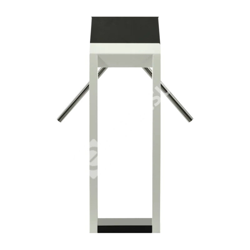 3v-model-l-vid-szadi