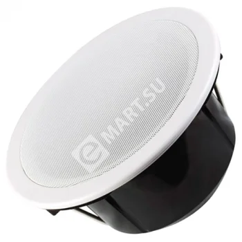 Tantos TSo-PW10k Громкоговоритель